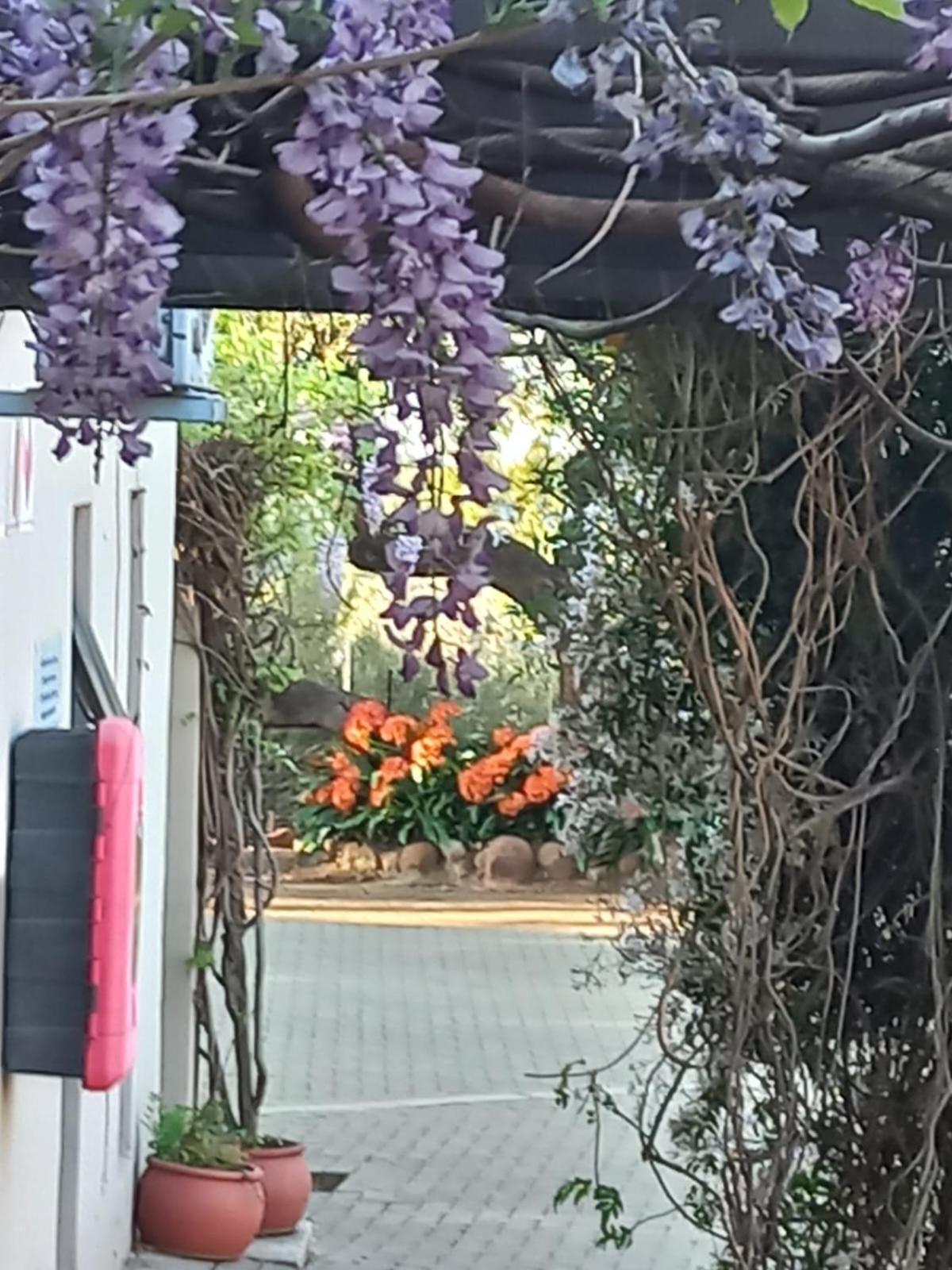 A Little Guesthouse Bloemfontein Zewnętrze zdjęcie